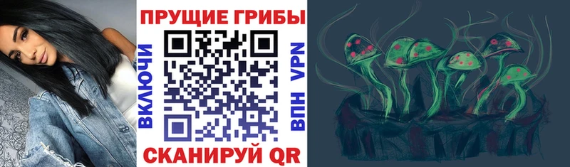 где купить наркоту  Окуловка  Галлюциногенные грибы мухоморы 